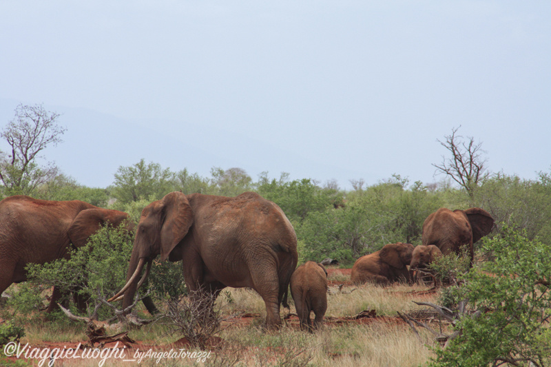 Kenya _0333 Galdessa Tsavo Est