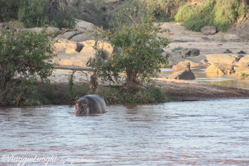 Kenya _0446 Galdessa Tsavo Est