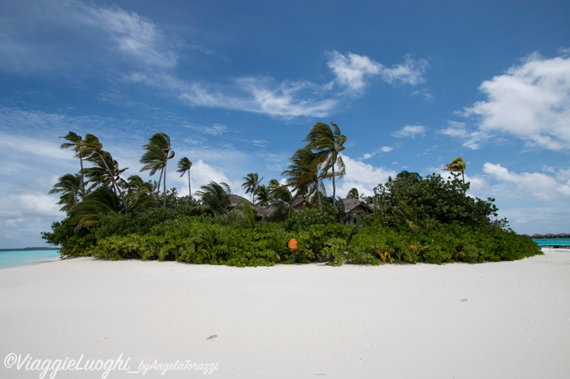 Maldive Aug 14 257 Halaveli