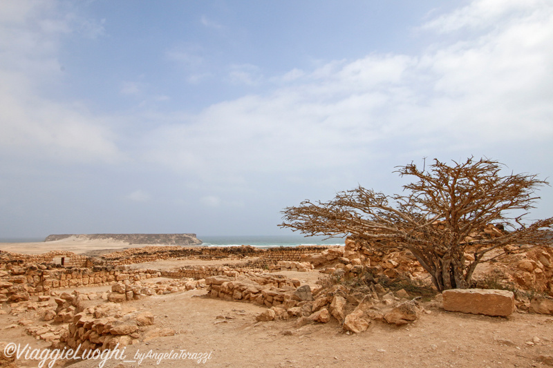 Oman sep 16 15 Khor Rori(Sumhuram)