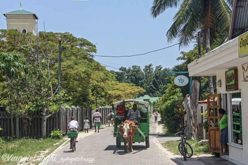 SEYCHELLES INSP. MAR 13 657