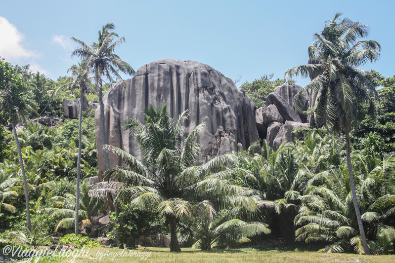 Seychelles Mar 13 615 Sister Isl.