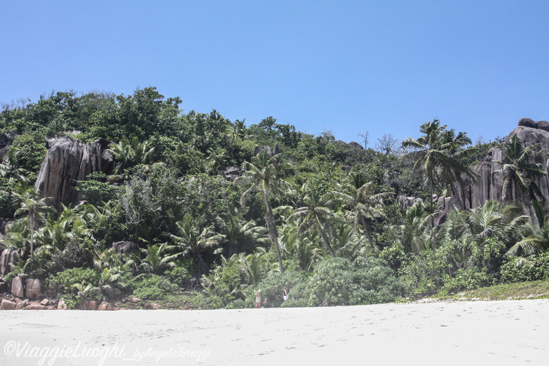 Seychelles Mar 13 624b Sister Isl.