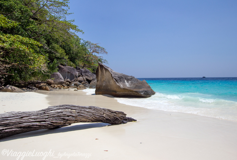 Thailandia Similan Mar 14 703