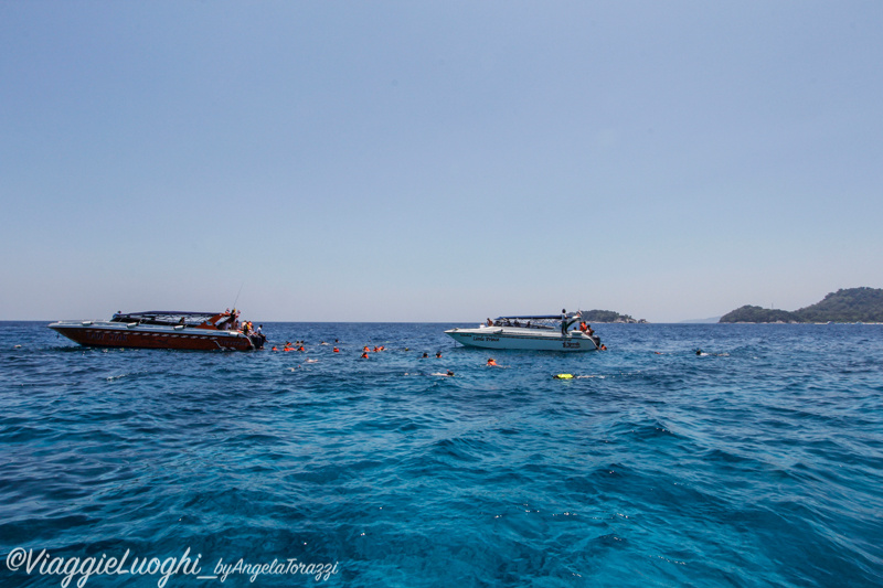 Thailandia Similan Mar 14 730