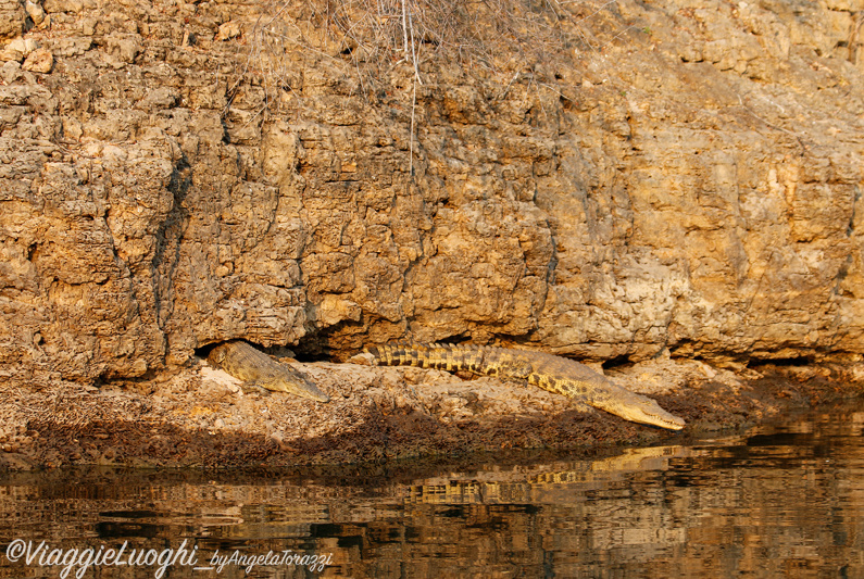 Namibia Caprivi aug ’21 3647