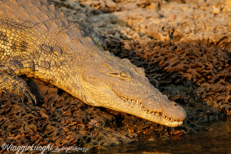 Namibia Caprivi aug ’21 3654