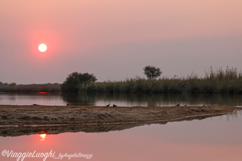 Namibia Caprivi aug ’21 3694