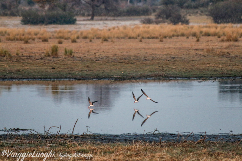 Namibia Caprivi aug ’21 3883