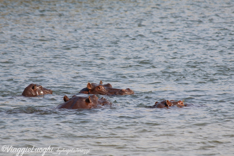 Namibia Caprivi aug ’21 4022