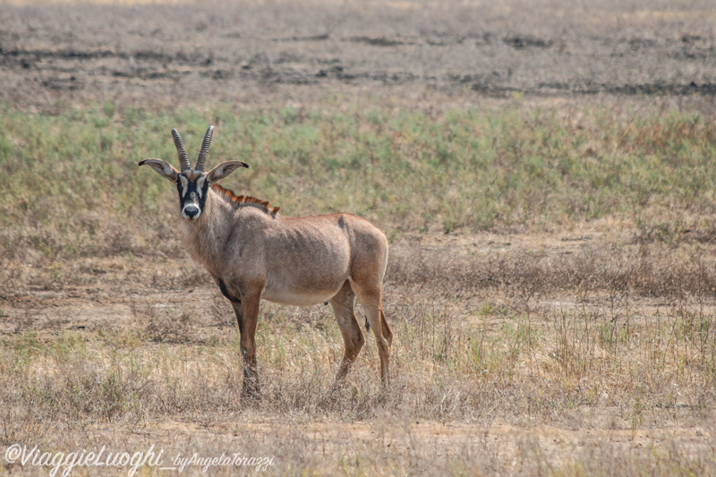 Namibia Caprivi aug ’21 4056