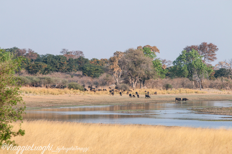 Namibia Caprivi aug ’21 4185