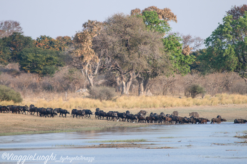 Namibia Caprivi aug ’21 4190