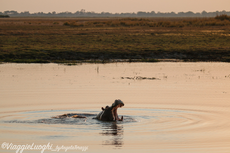 Namibia Caprivi aug ’21 4204