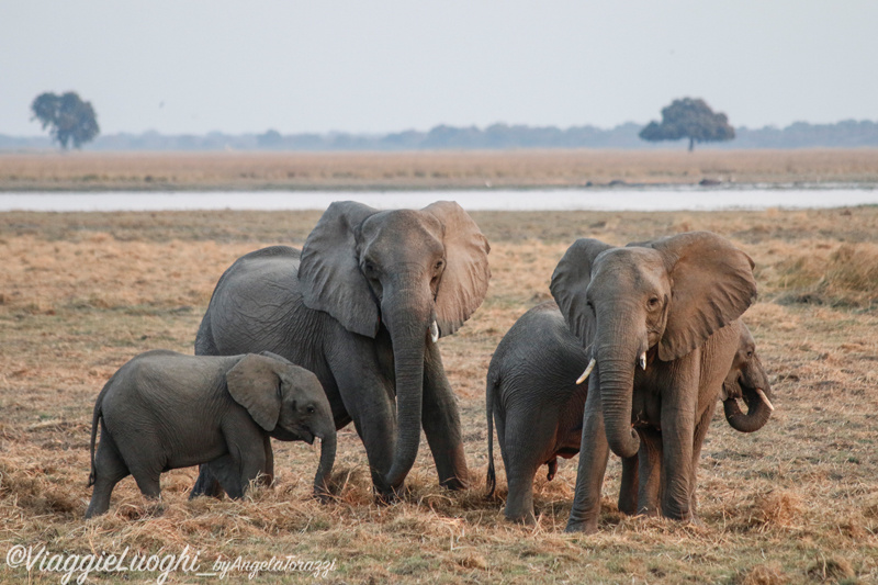 Namibia Caprivi aug ’21 4225