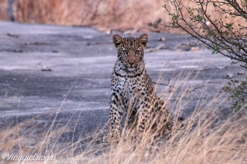 Namibia Caprivi aug ’21 4245