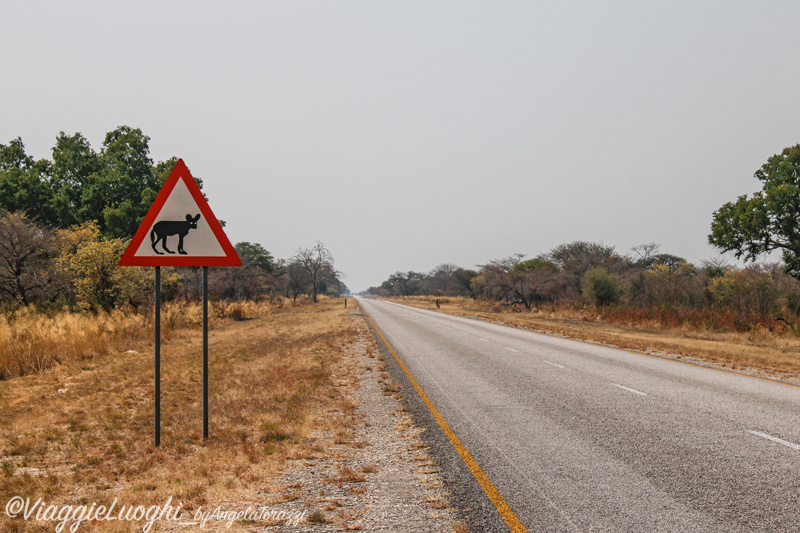 Namibia Caprivi aug ’21 4300