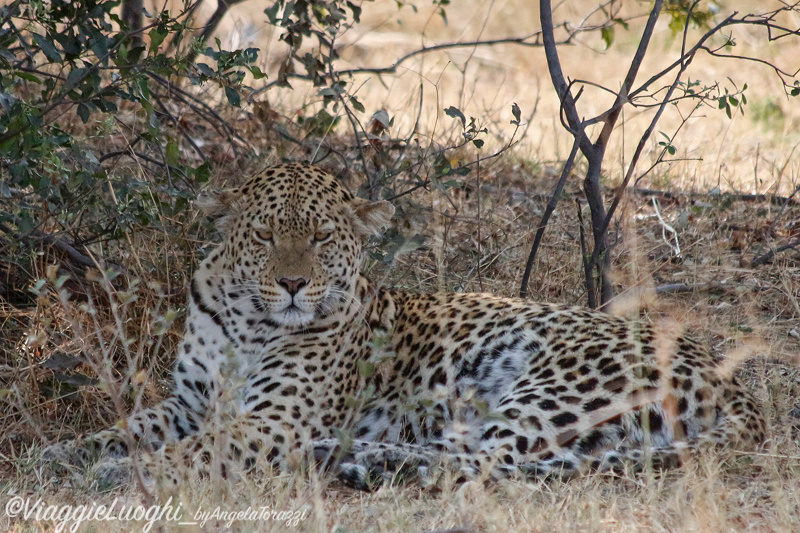 Namibia Caprivi aug ’21 4320b