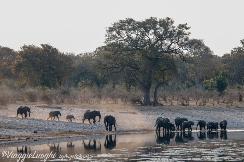 Namibia Caprivi aug ’21 4439