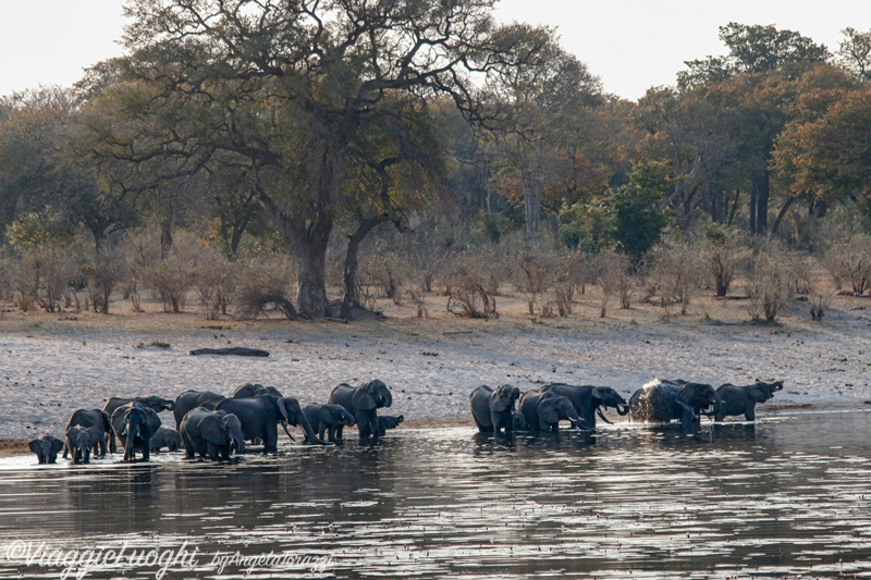 Namibia Caprivi aug ’21 4449