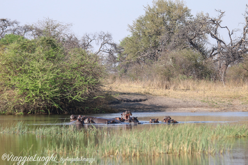 Namibia Caprivi aug ’21 4633