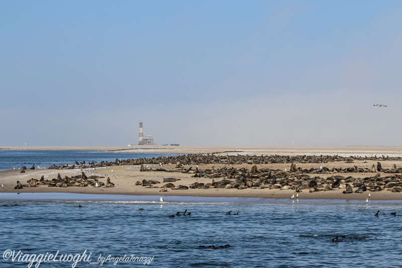 Namibia aug ’21 1502 Pelican Point