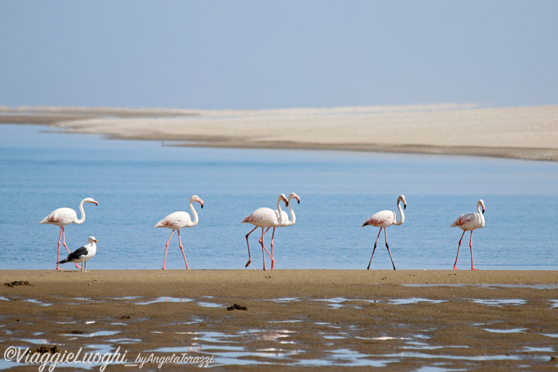 Namibia aug ’21 1785