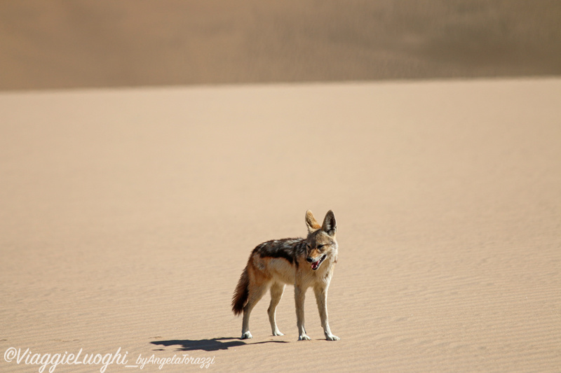 Namibia aug ’21 1811