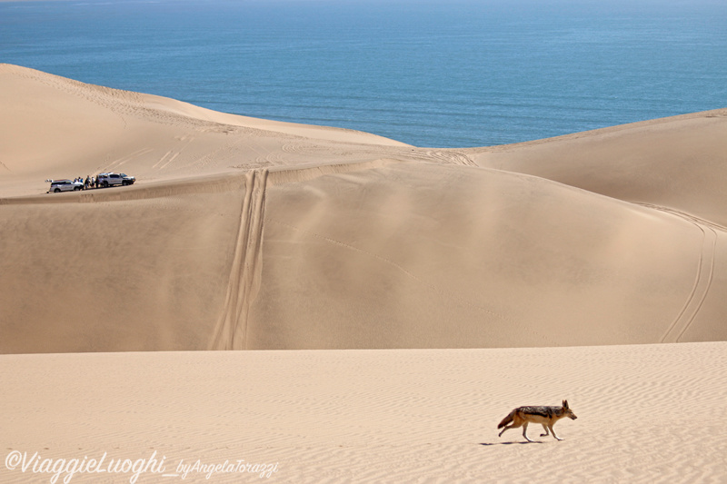 Namibia aug ’21 1813