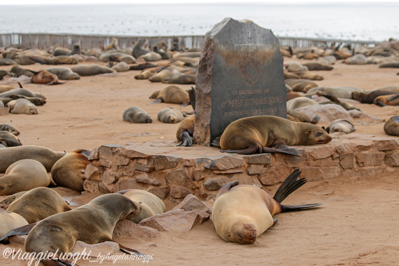 Namibia aug ’21 2018x (2191)Cape Cross