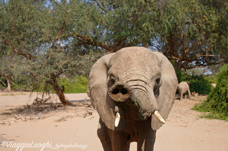 Namibia aug ’21 2585 Twyfelfontain