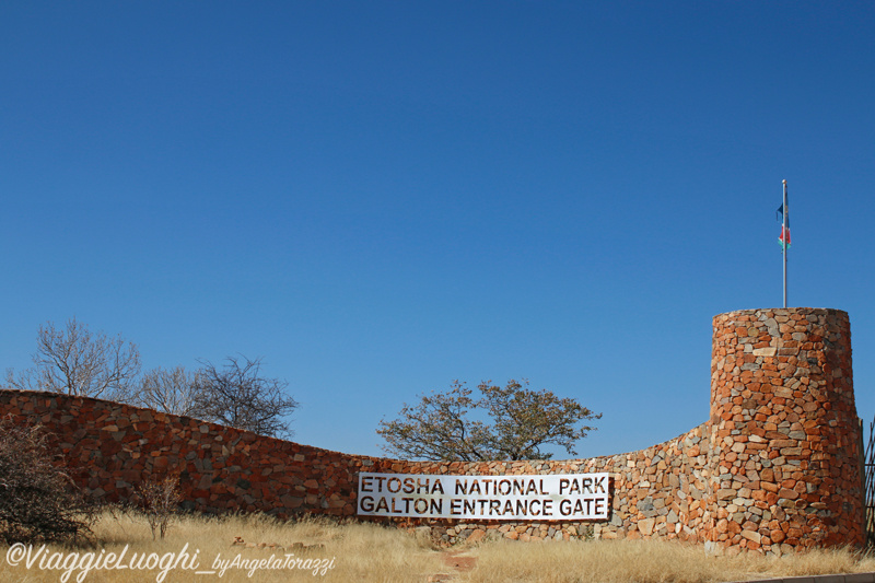 Namibia aug ’21 2888.EtoshaJPG