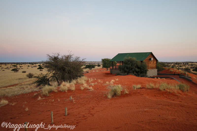 Namibia aug ’21 3 Kalahari