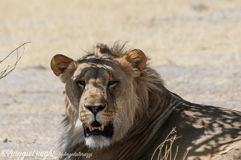 Namibia aug ’21 3112b Etosha