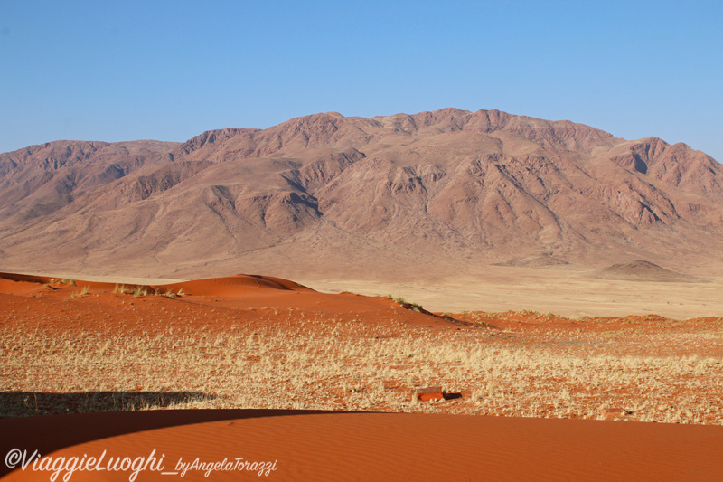 Namibia aug ’21 324 Wolwedans