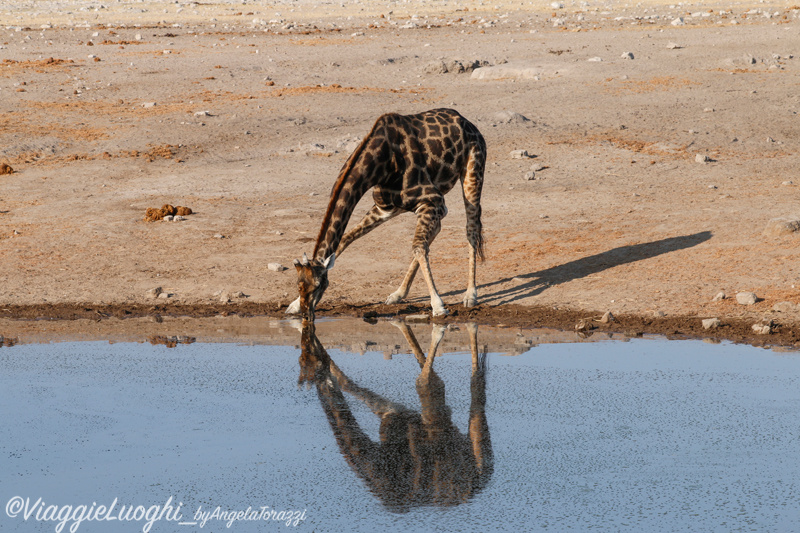 Namibia aug ’21 3487 Etosha