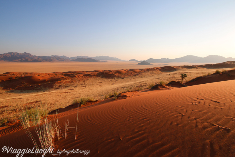 Namibia aug ’21 378 Wolwedans