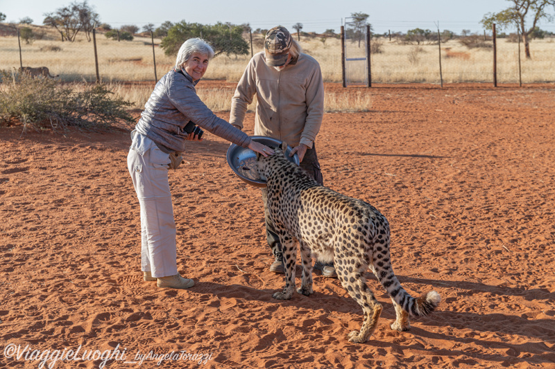 Namibia aug ’21 50 Kalahari