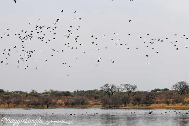 Namibia aug ’21 5008