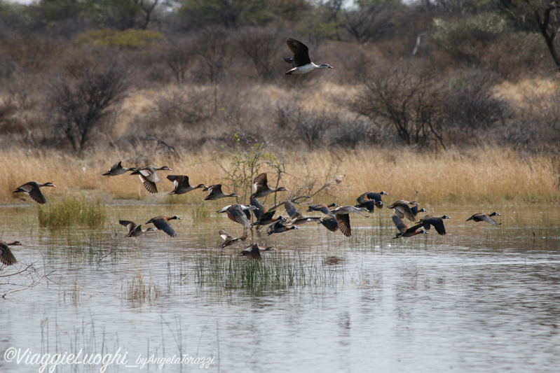 Namibia aug ’21 5009 (5000)