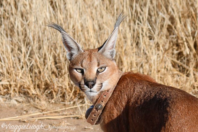 Namibia aug ’21 5365b