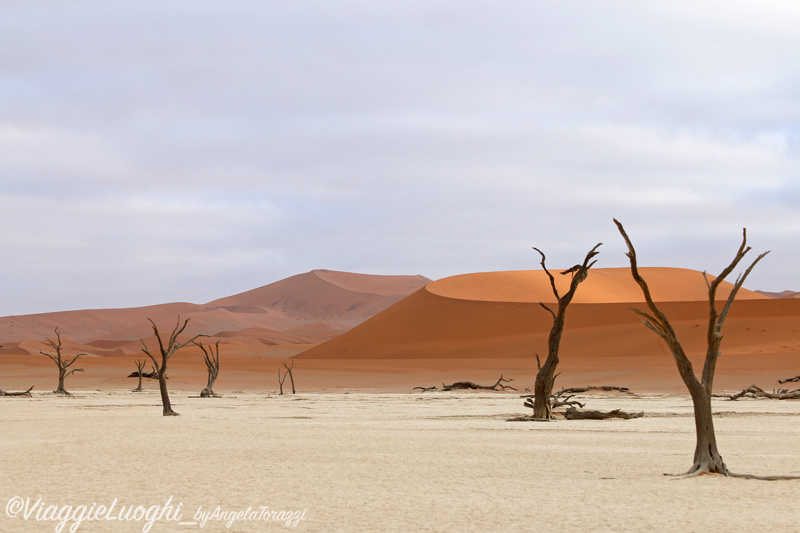 Namibia aug ’21 732 Dead Vlei