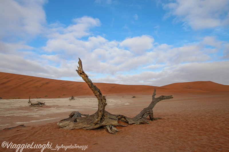 Namibia aug ’21 760 Dead Vlei