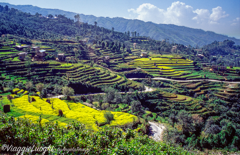 Nepal0191c Nagarkot