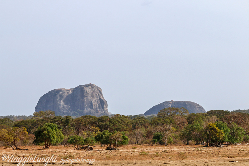 Sri Lanka Aug 14 1849 Yala