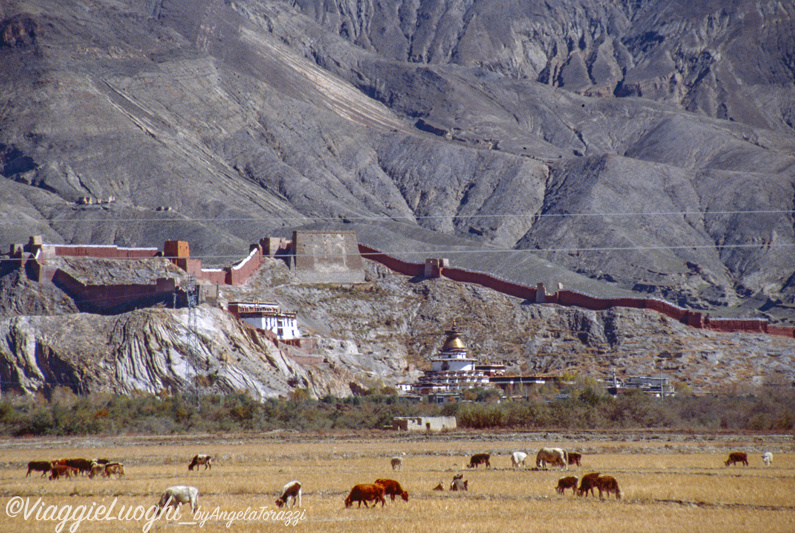 Tibet Oct 07 148 Gyangtse