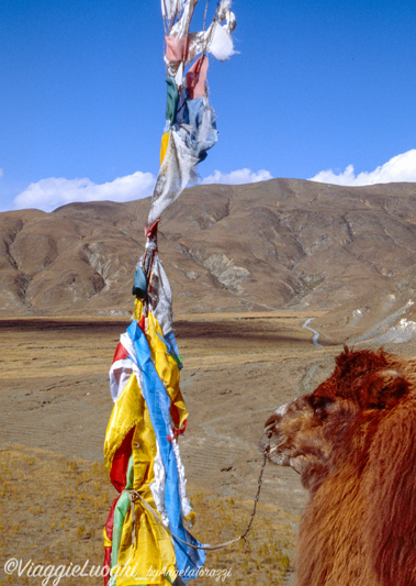 Tibet Oct 07 211(201 )Yumbulakang