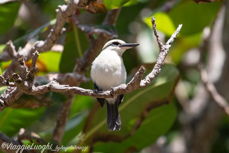 Atiu Isole Cook Oct 2023 – 0286