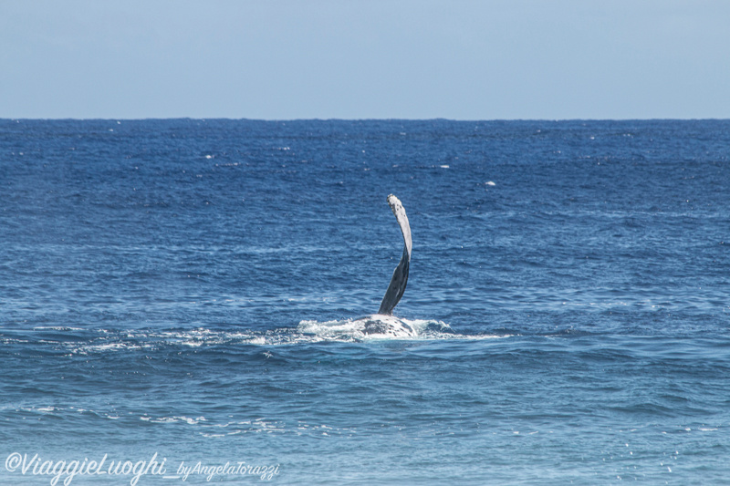 Atiu Isole Cook Oct 2023 – 0422