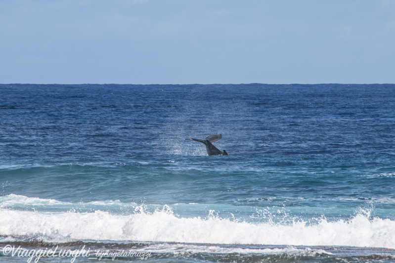 Atiu Isole Cook Oct 2023 – 0424